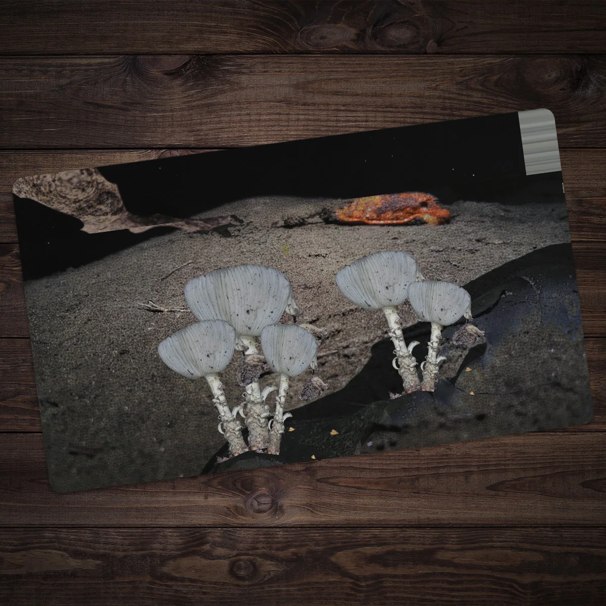 Space Slug Playmat - Image 3