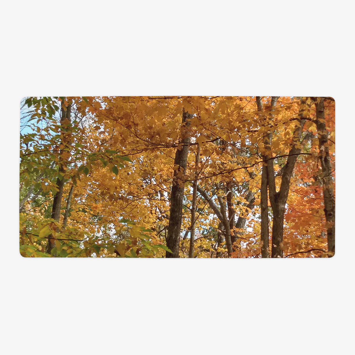 Spectrum of Seasons Playmat - Image 5