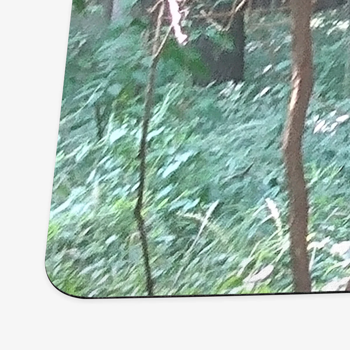 Sunlit Thorns Playmat - Image 6