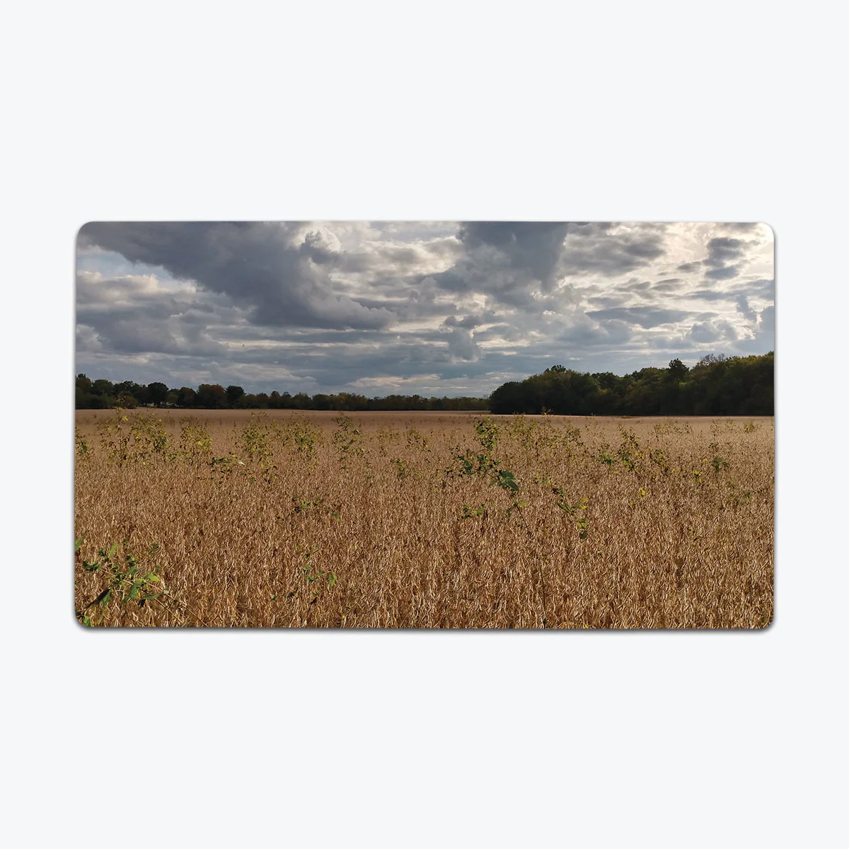 Vast Yellow Plains Playmat