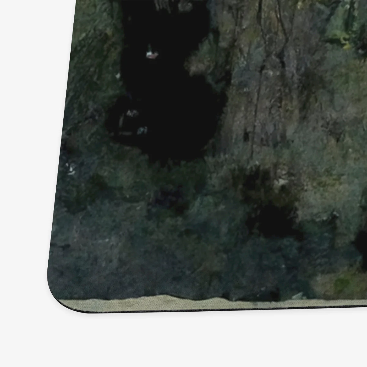 Verdant Swamp Playmat - Image 7