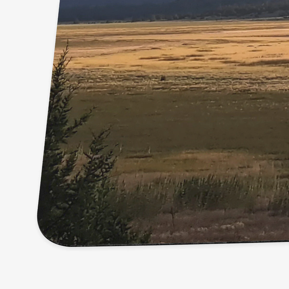 Yellow Plains Playmat - Image 7
